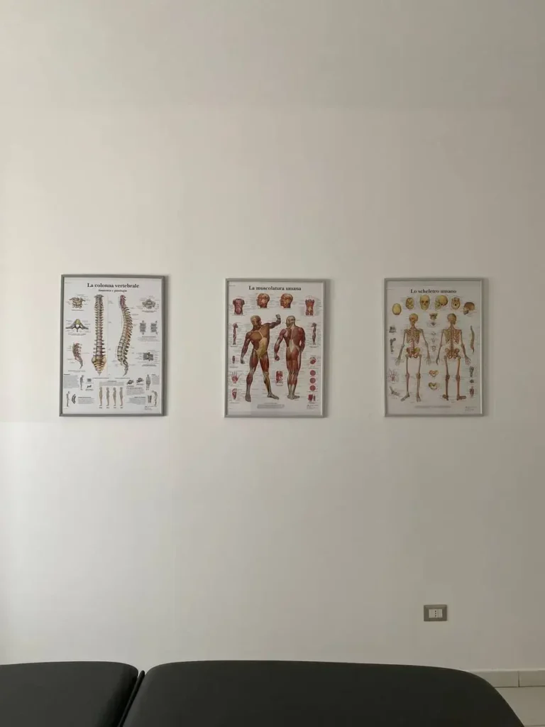 Tavole anatomiche appese sopra il lettino della sala trattamenti
